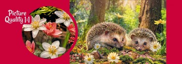 CherryPazzi - Cute Visitors - 500 Stukjes 6