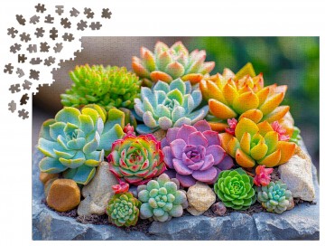 Enjoy Puzzle - Succulents - 1000 Stukjes 5