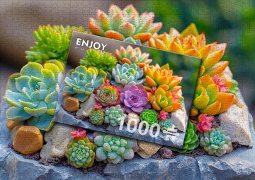 Enjoy Puzzle - Succulents - 1000 Stukjes 6