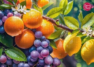 CherryPazzi - Sunny Fruits - 1000 Stukjes 6