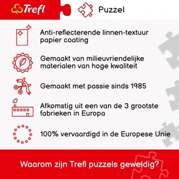 Trefl - The Flower Shop - 1000 Stukjes 4