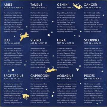 Galison - Cat Zodiac - 500 Stukjes 5