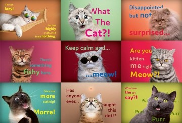 Trefl - Funny Cats Faces - 1500 Stukjes