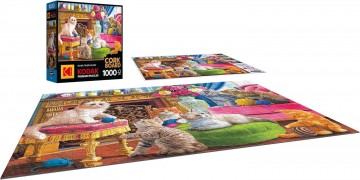 RoseArt - Kittens by the Fireplace - 1000 Stukjes 4