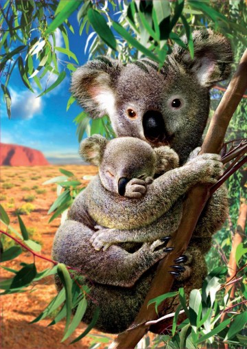 Educa - Koala With Cub - 500 Stukjes