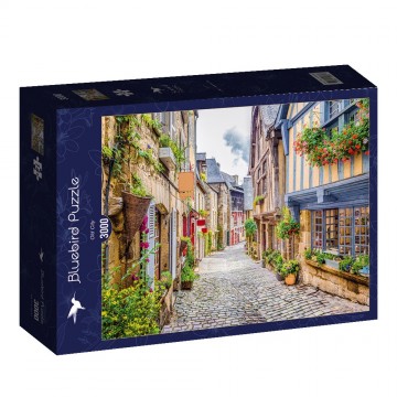 Bluebird Puzzle - Old City - 3000 Stukjes 2